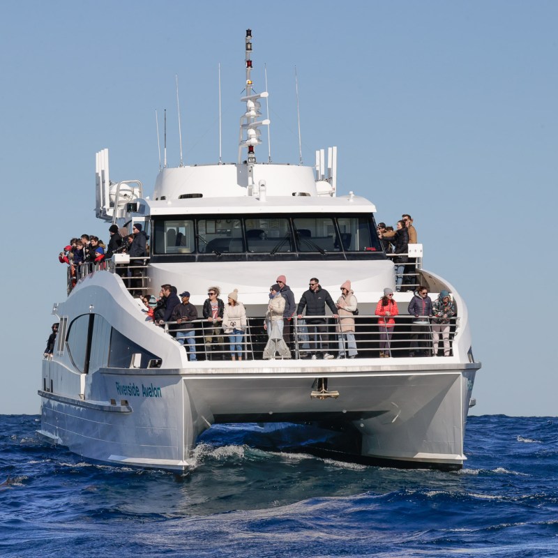 a large ship in a body of water