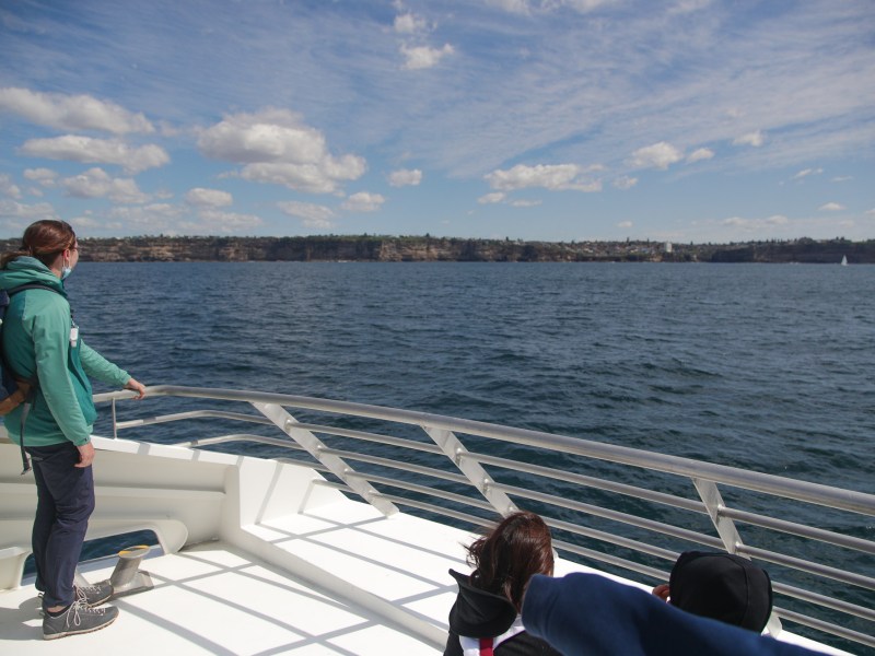 a group of people sitting on a dock next to a body of water