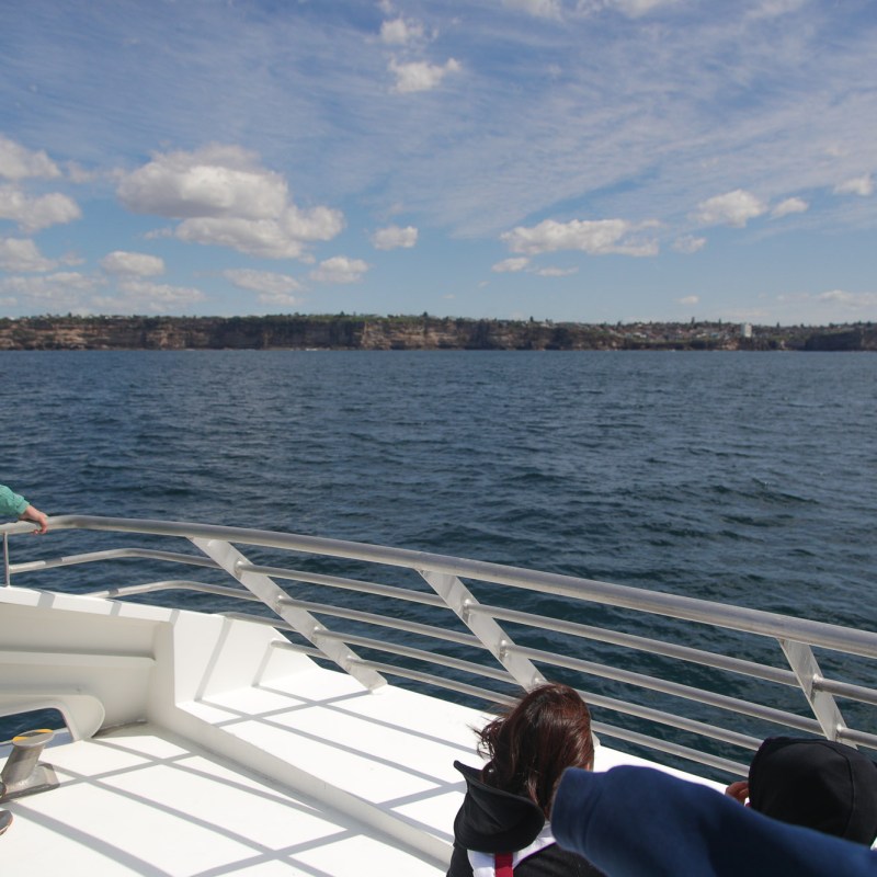 a group of people sitting on a dock next to a body of water