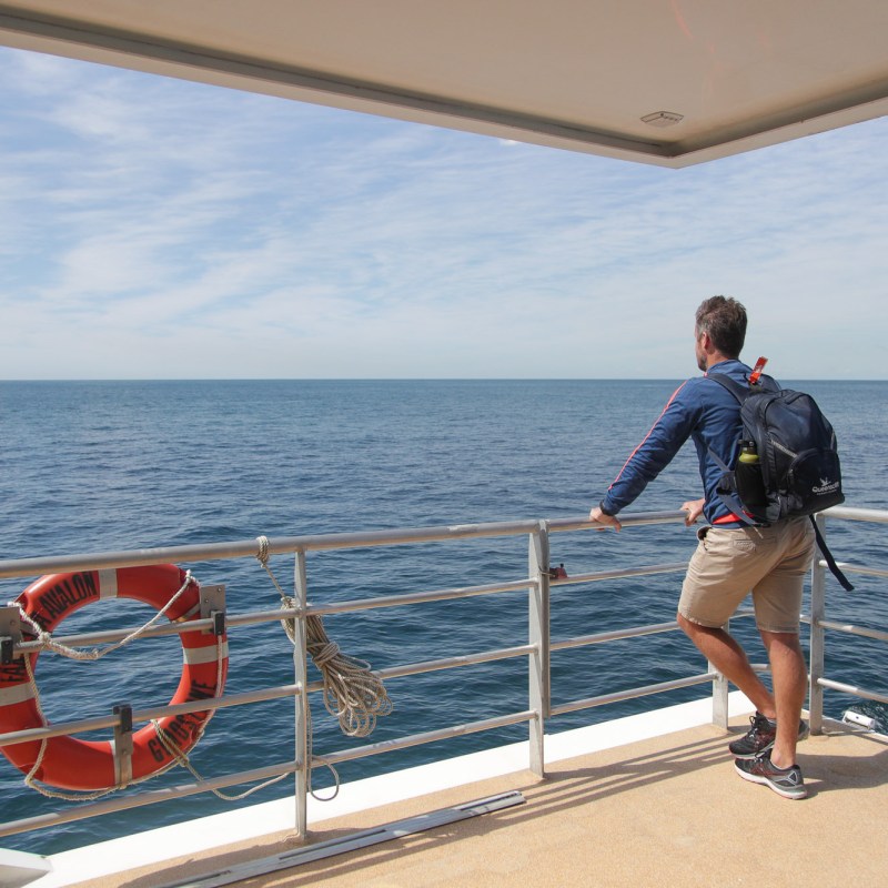 a person standing in front of a body of water