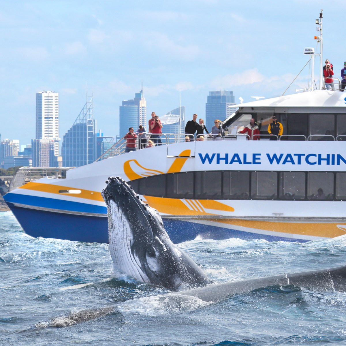 a large ship in a body of water