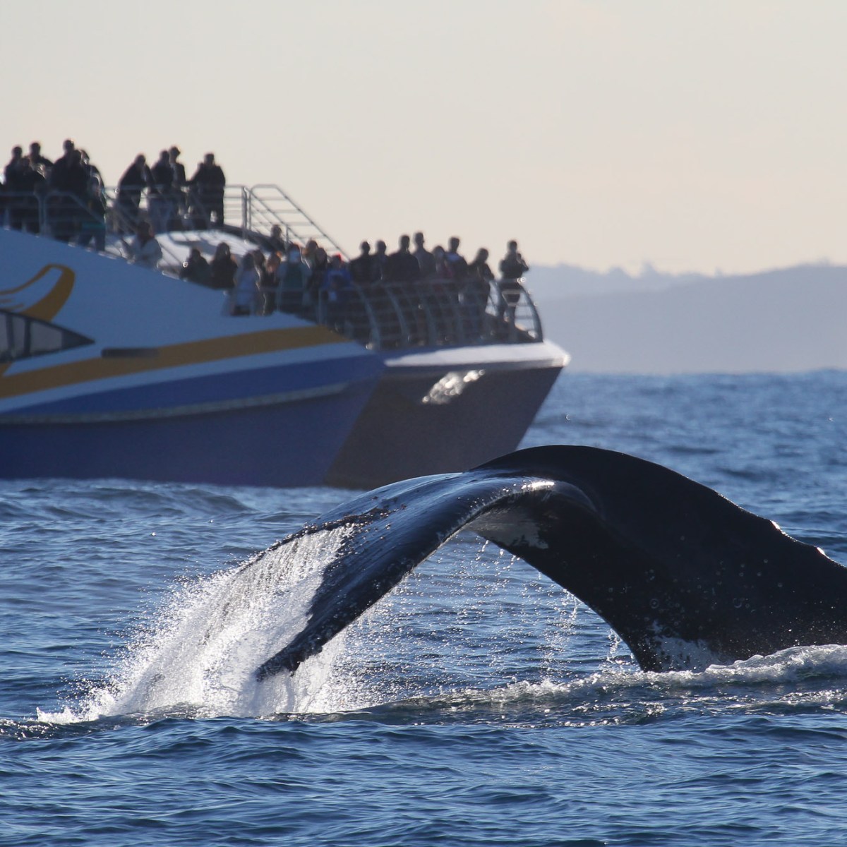 a small boat in a large body of water