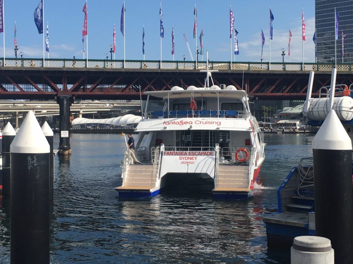 Fantasea-Escapade-Rear-View