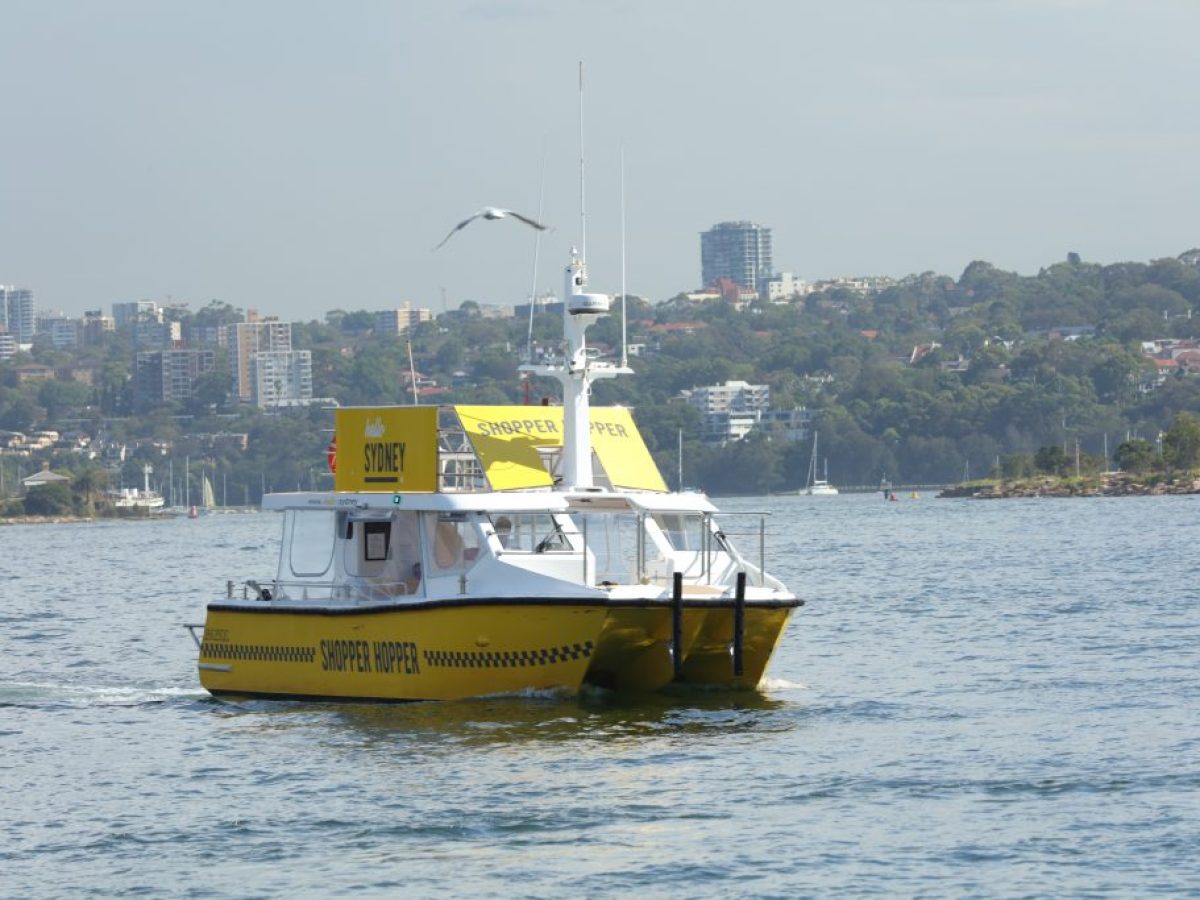 Fantasea-Shopper-Hopper-Explorer