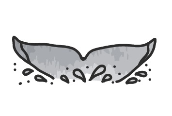 Fluke-up-dive-1 Fluke-up-dive-1