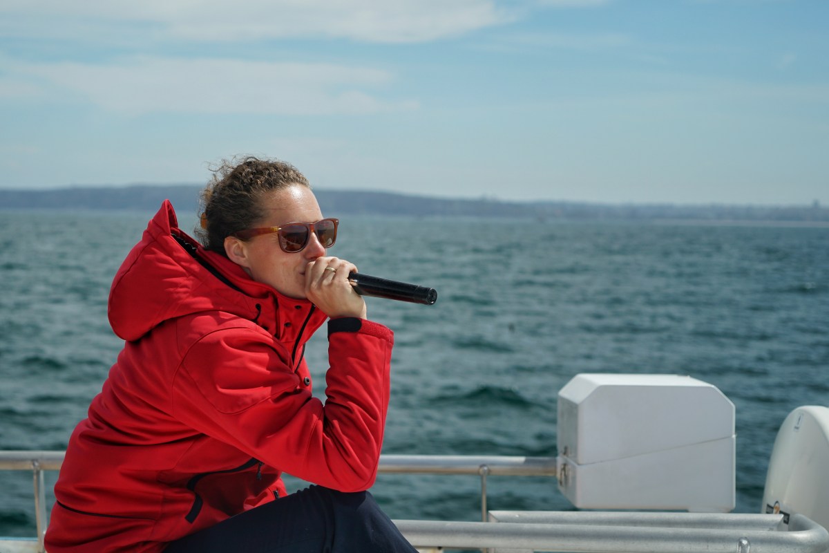 Premium-Fantasea-Whale-watching-Fantasea-Marine-Biologist-Julia