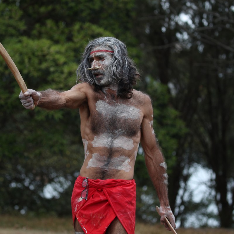 a person standing next to a forest