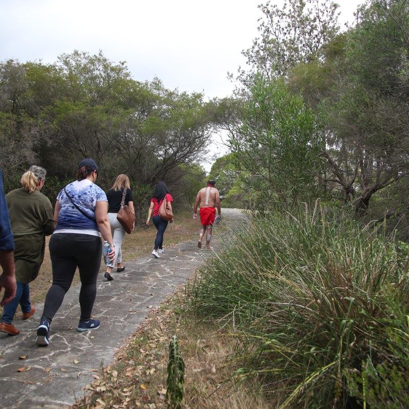 a group of people walking down a sidewalk next to a tree