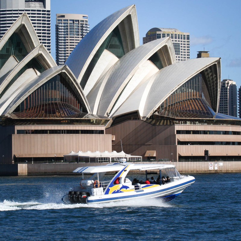 a large ship in a body of water with Sydney Opera House in the background