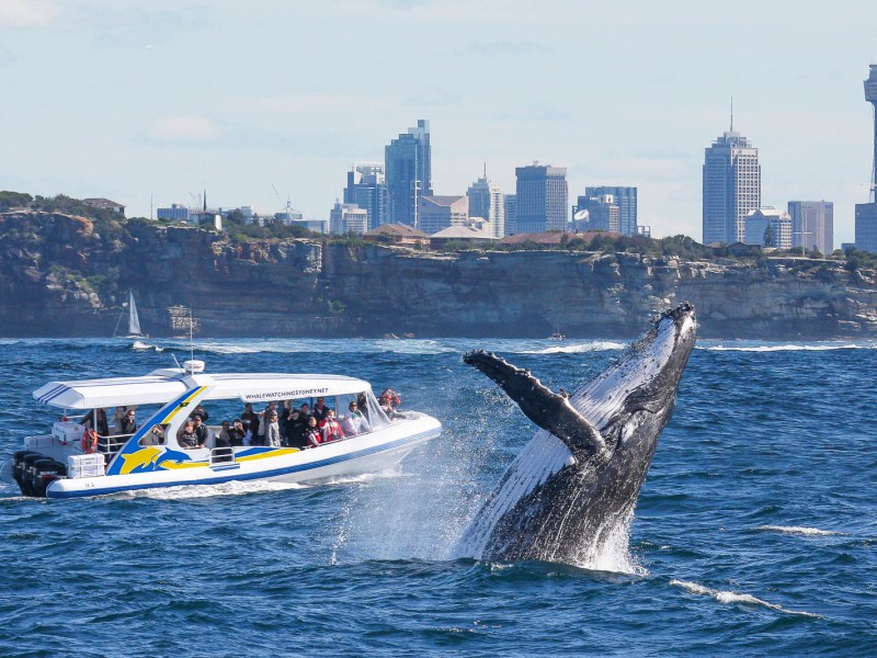 a small boat in a body of water with a city in the background