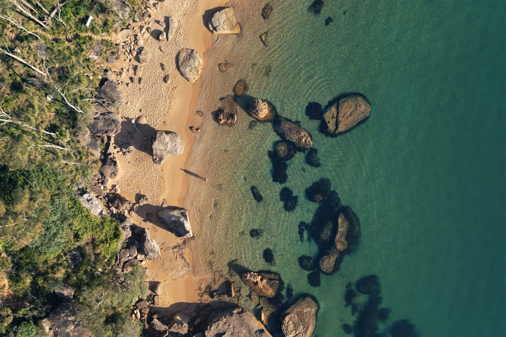 palm_beach_150639-62