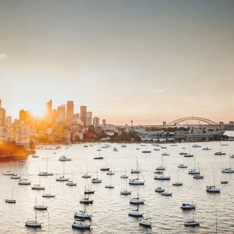 a flock of seagulls next to a body of water
