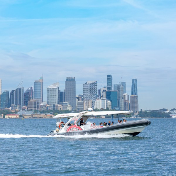 Speedboat with passengers on water, city skyline in background, clear blue sky.
