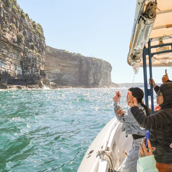 Tourists on a boat photographing Sydney Harbour coastal cliffs on a sunny day.