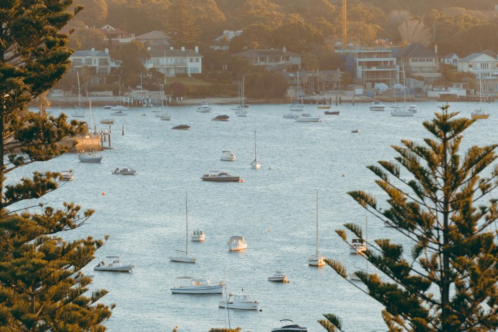 Boats on water with trees and city skyline in the background during sunset.
