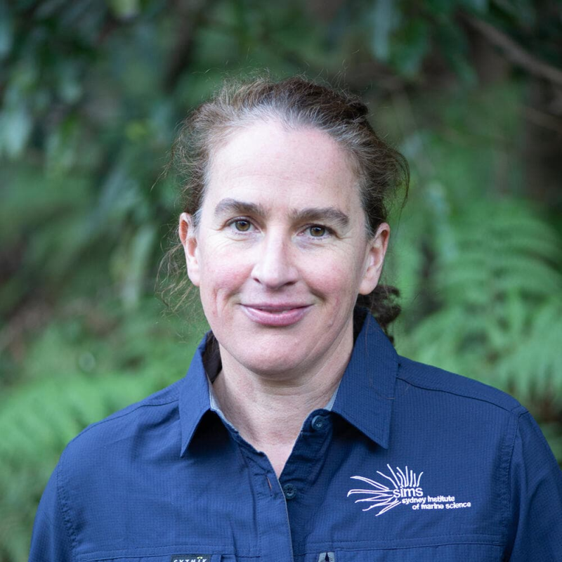 Person in blue shirt with logo standing outdoors, green foliage background.